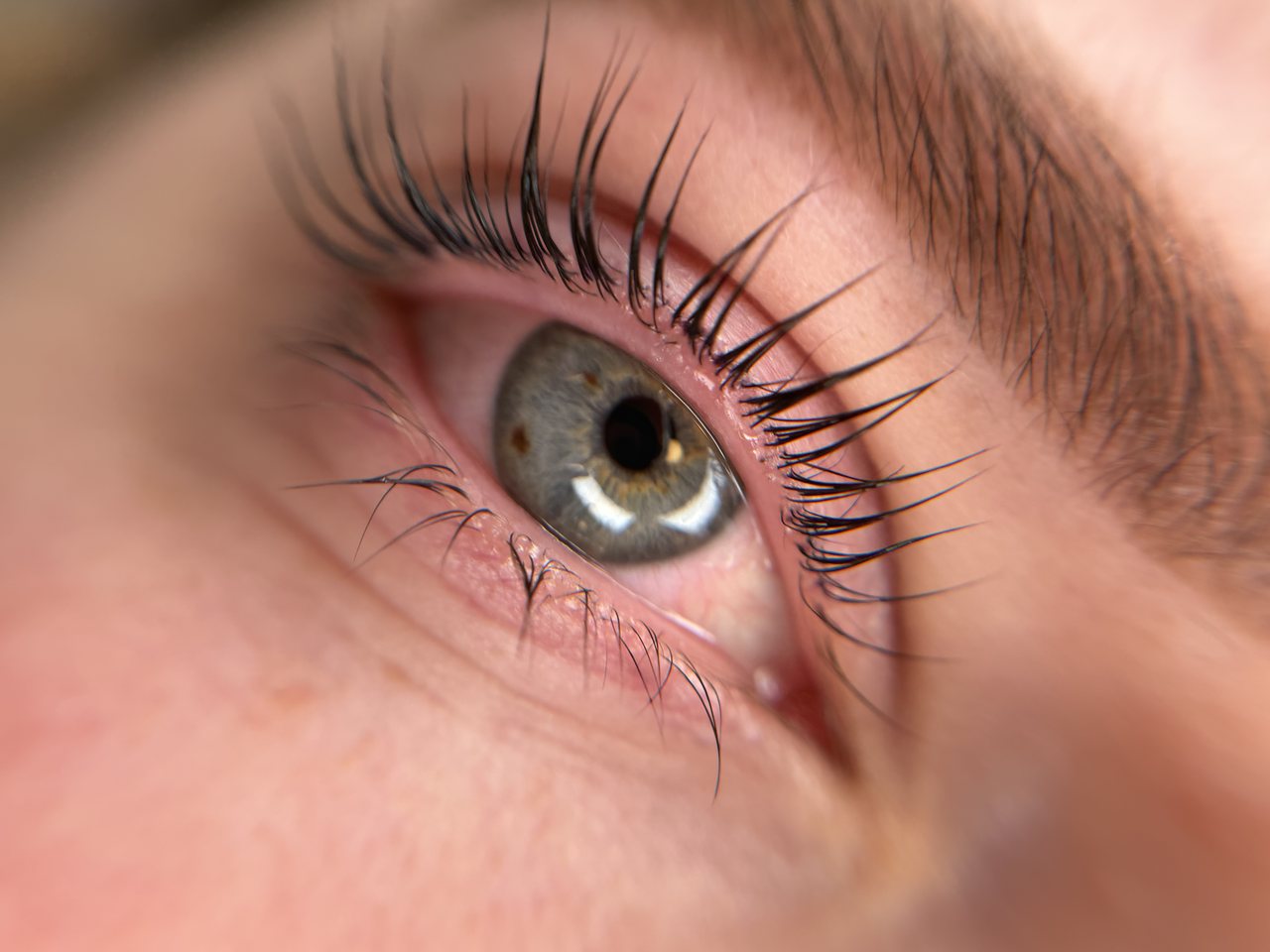 Lash lift Esbjerg - Professionelt vippebuk før og efter behandling